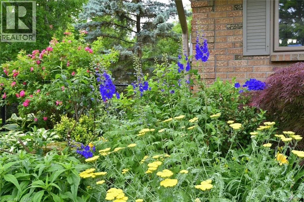 34 HOWARD Boulevard — photo 2 of 50