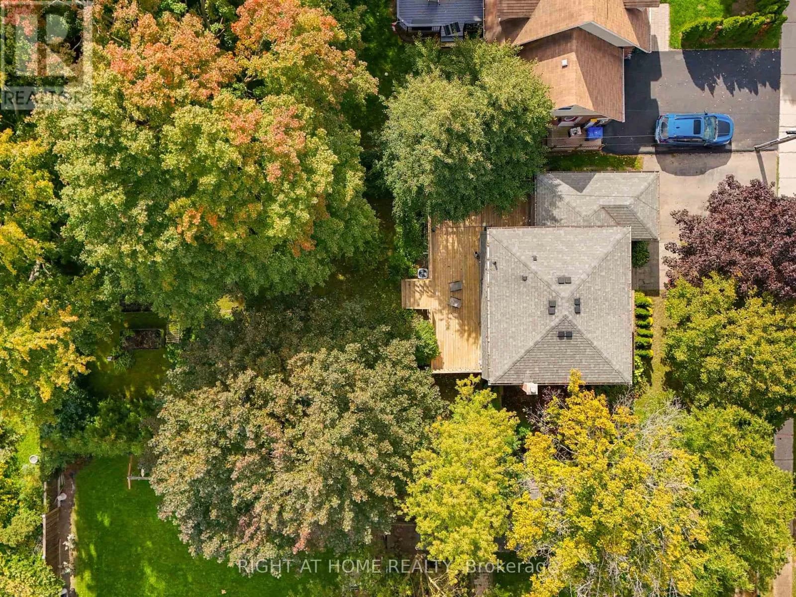 19 CLARA STREET — photo 4 of 49