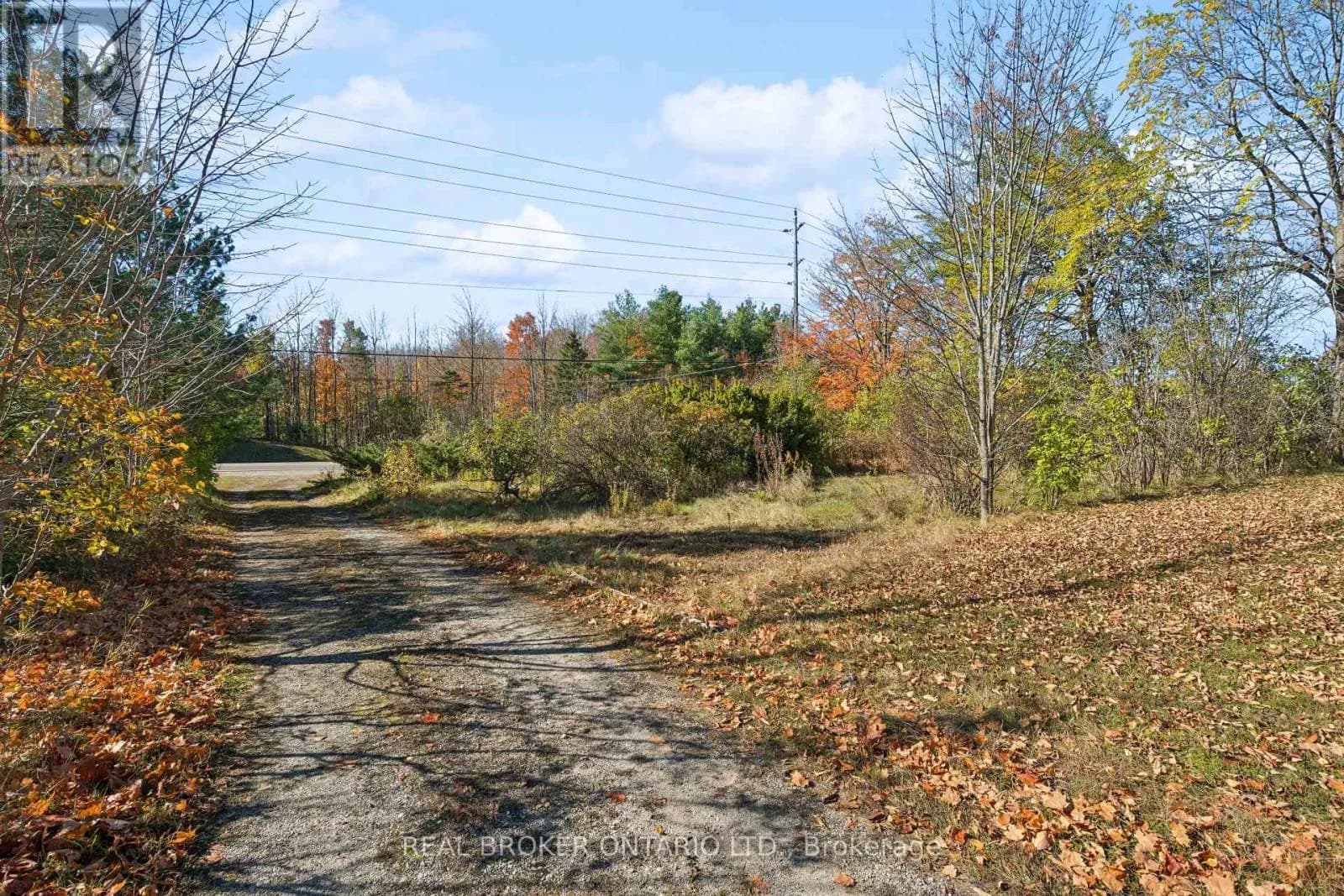 8350 HWY 7 HIGHWAY — photo 2 of 43