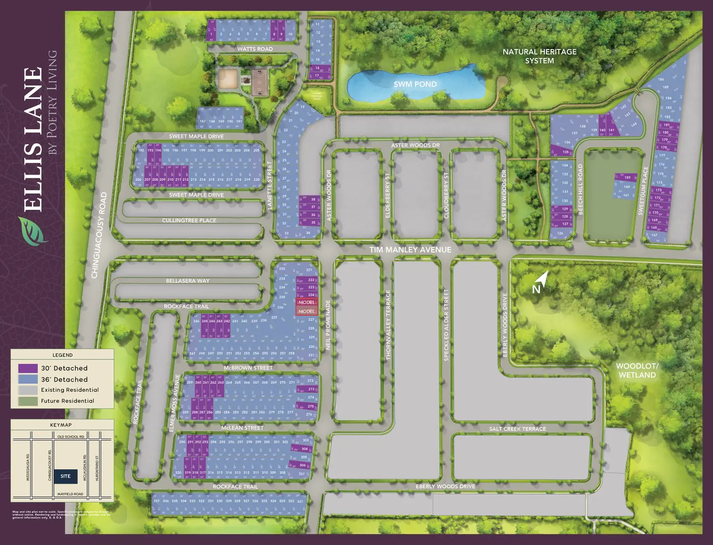 Ellis Lane site plan showing 30' and 36' detached lots, parks, pond and model homes