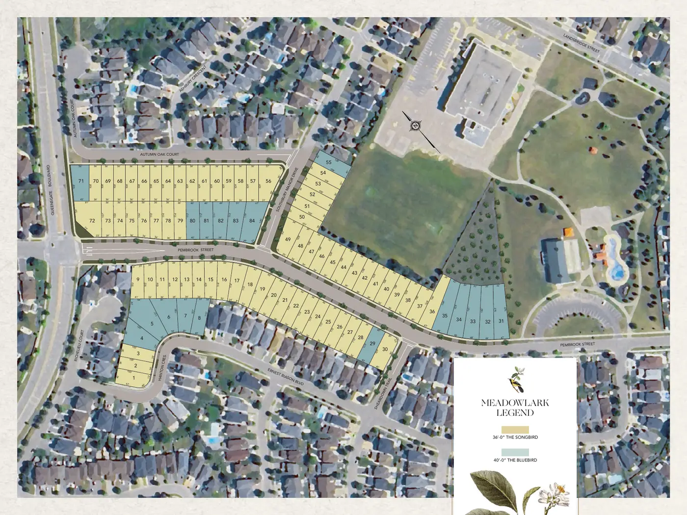 Meadowlark Enclave site plan showing 36' Songbird and 40' Bluebird lots along Pembrook Street