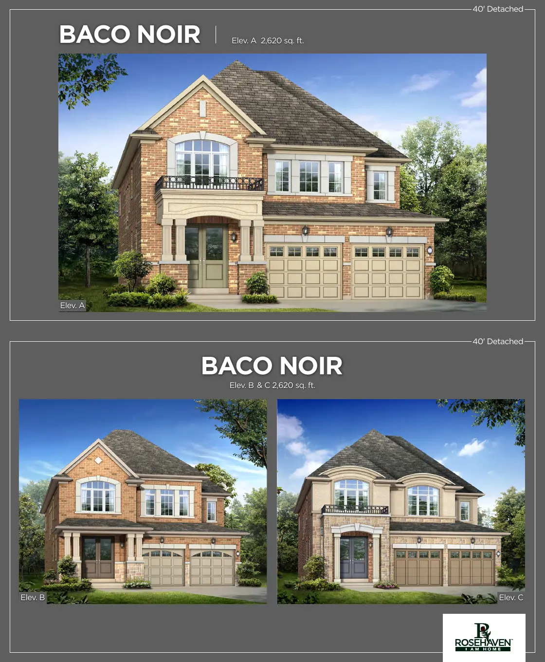 Renderings of the Baco Noir 40' detached home in three elevations