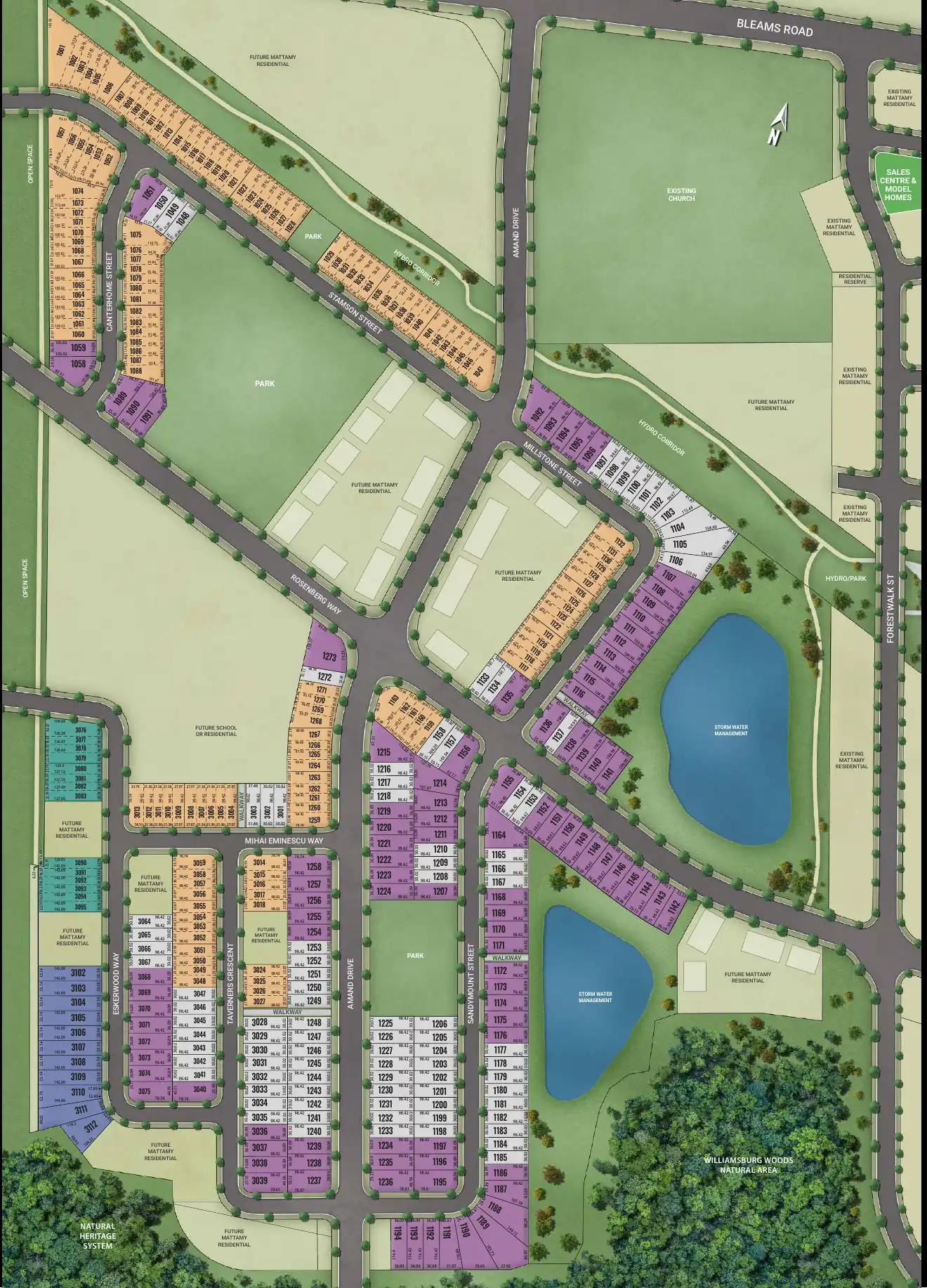 Wildflowers site plan showing townhome and detached lots, parks and stormwater ponds